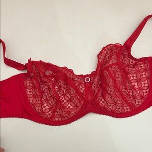 Elegant Red Lace Romy Bra